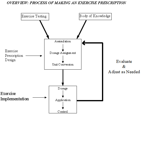 Diagram of Prescription Process
