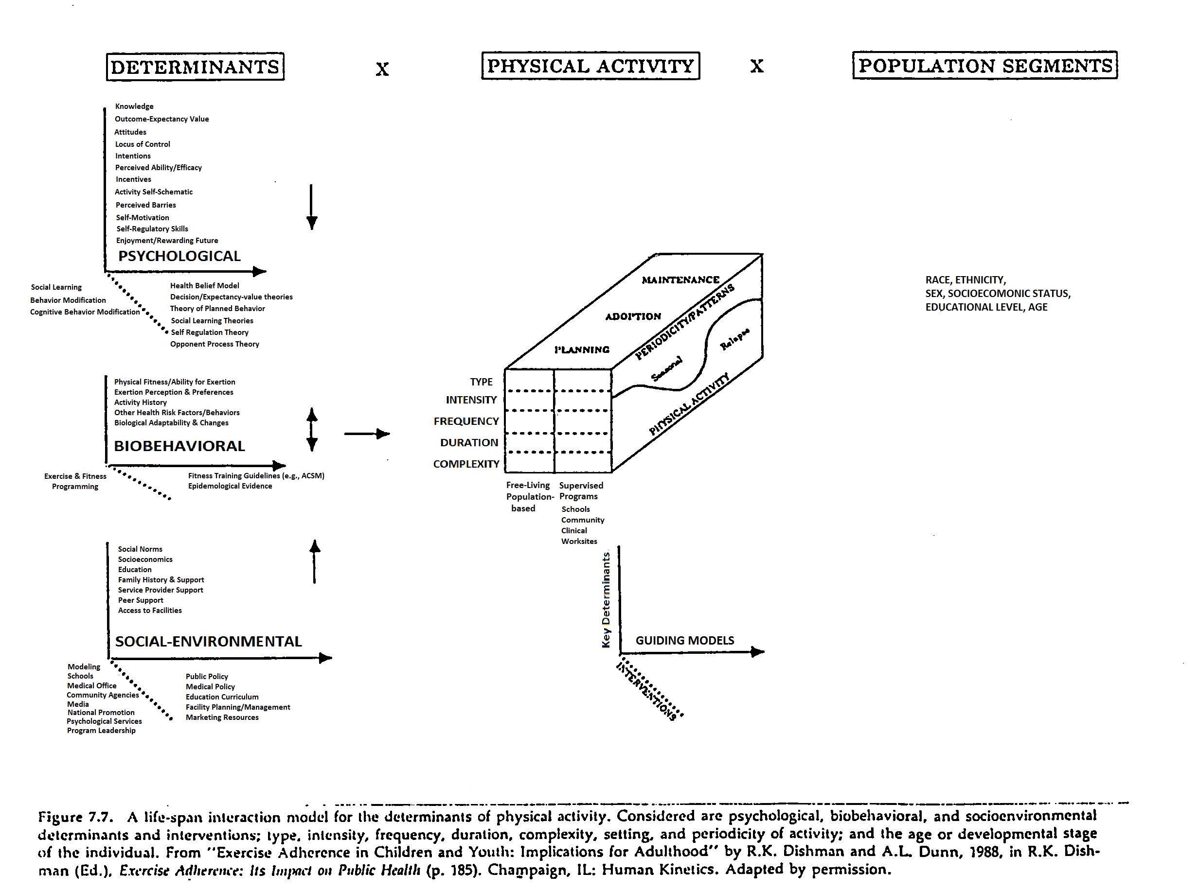 Physical Activity Variables & Interactions