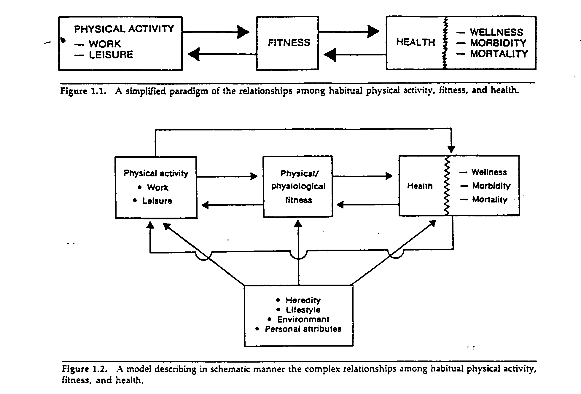 Wellness-PhysicalActivitySystemModels